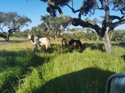 2025-02-23  THE GAME - TWO FIVE